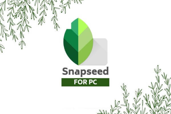 snapseed-for-pc